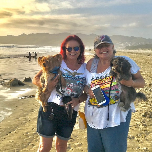 Meet your Posher, Robin - Picture 13 of 16